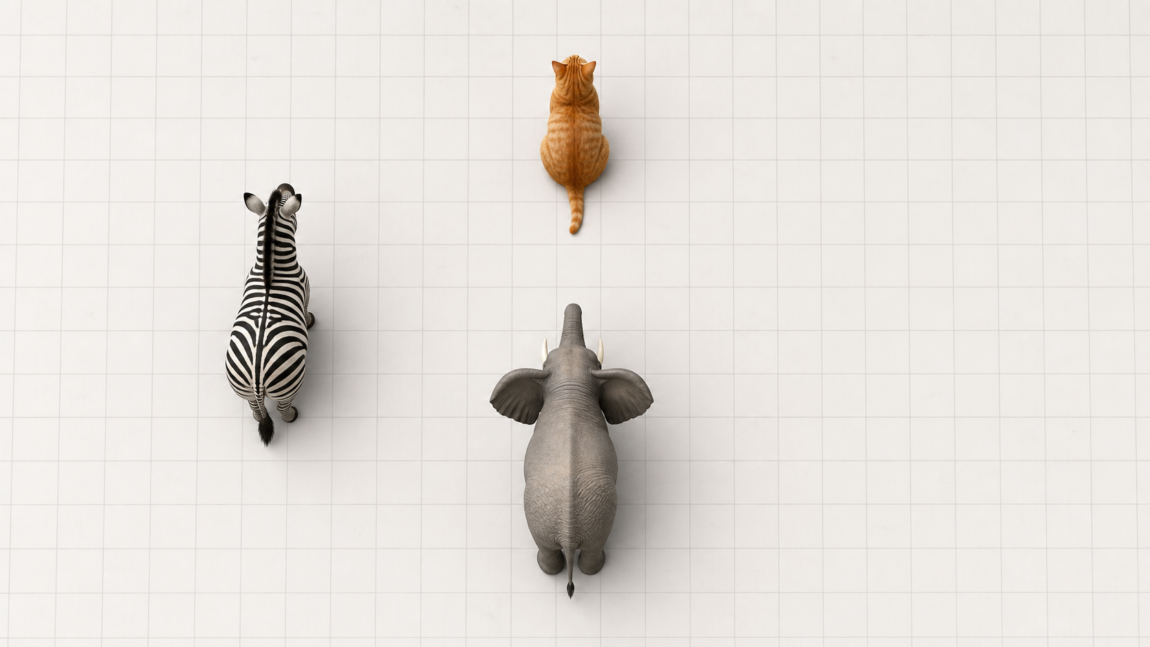 Generated top-down FoR-T2I example with cat, elephant, and zebra