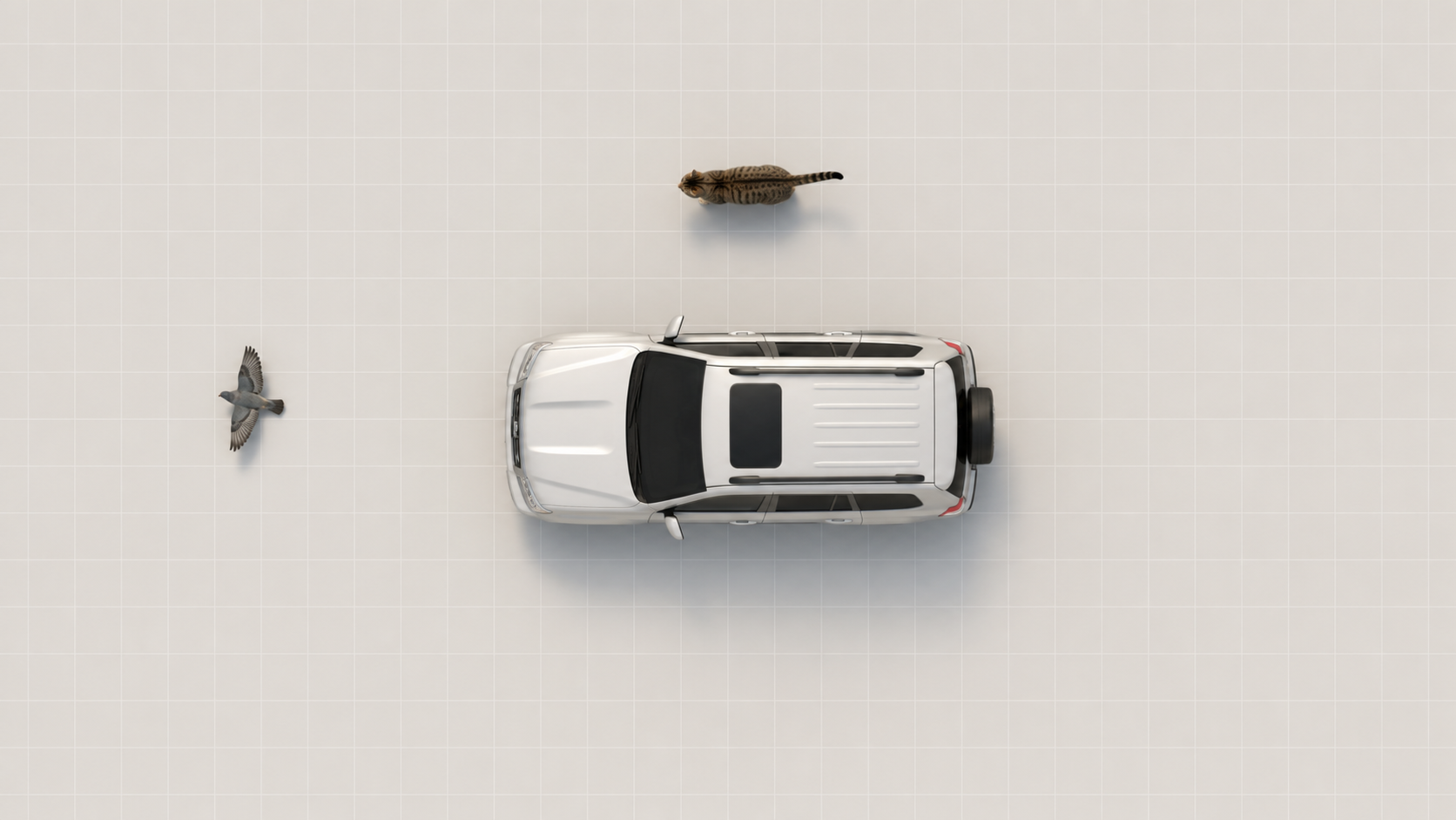 Generated top-down FoR-T2I example with SUV, cat, and bird